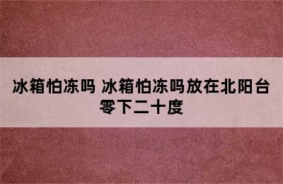 冰箱怕冻吗 冰箱怕冻吗放在北阳台零下二十度